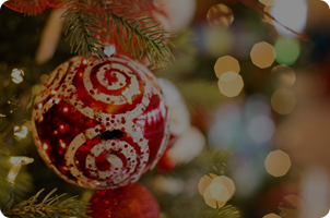 holidaypackage